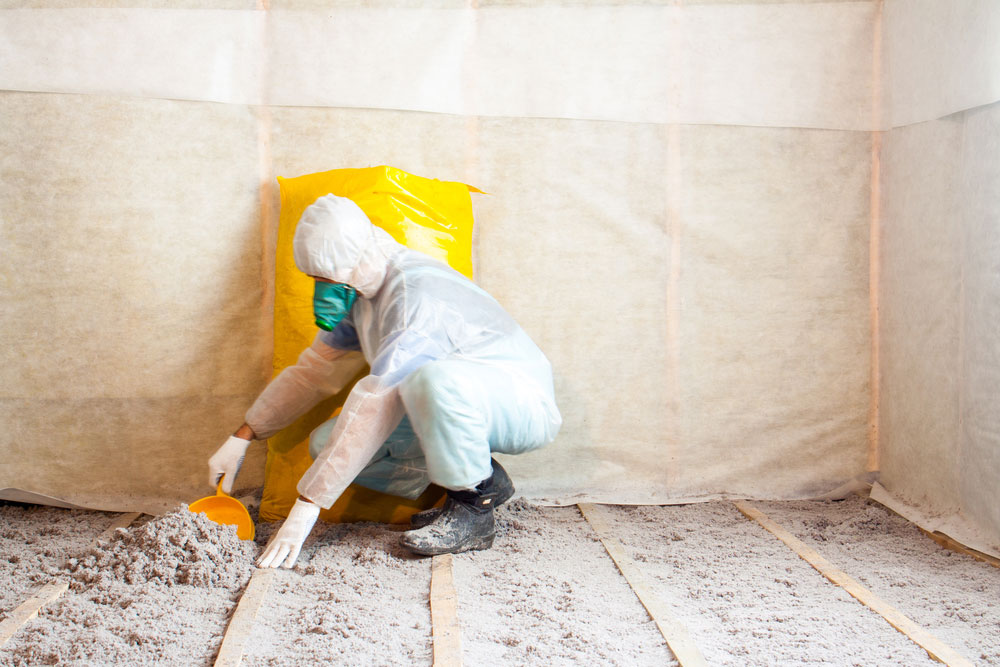 Looking for an eco-friendly home insulation solution?