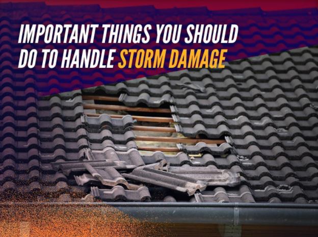 How to Handle Storm Damage
