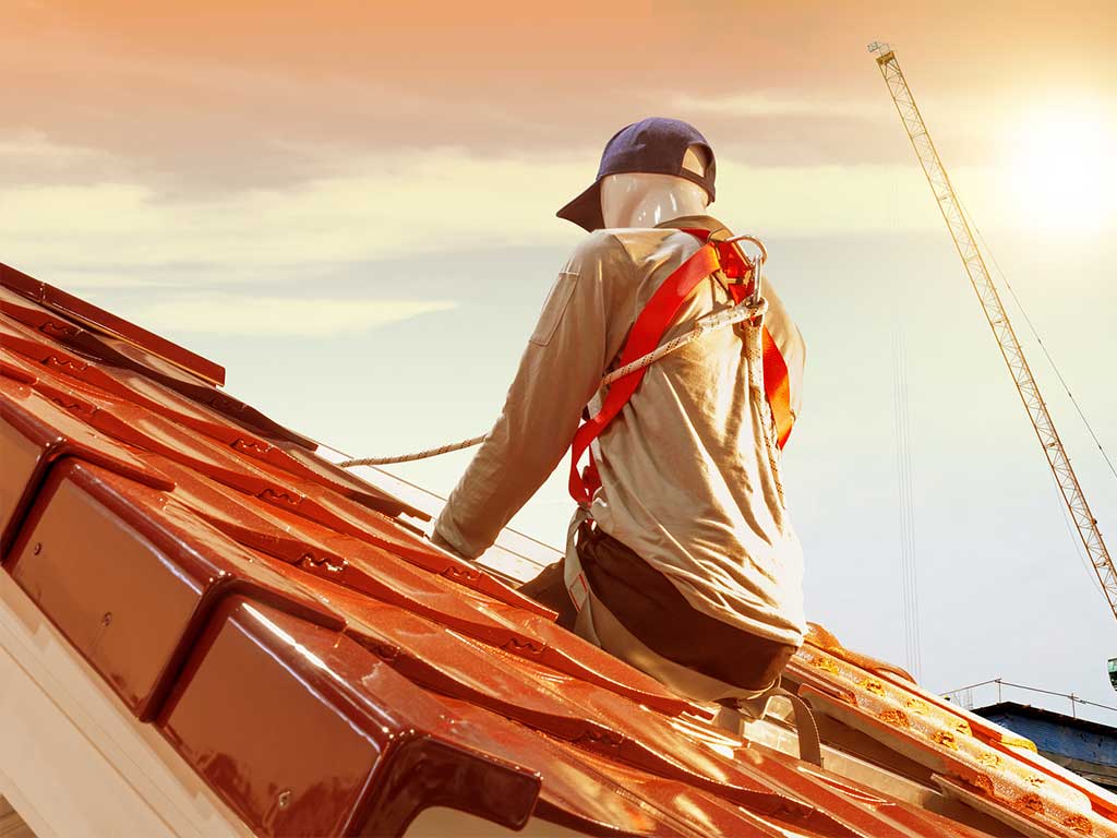 Repairs Roof