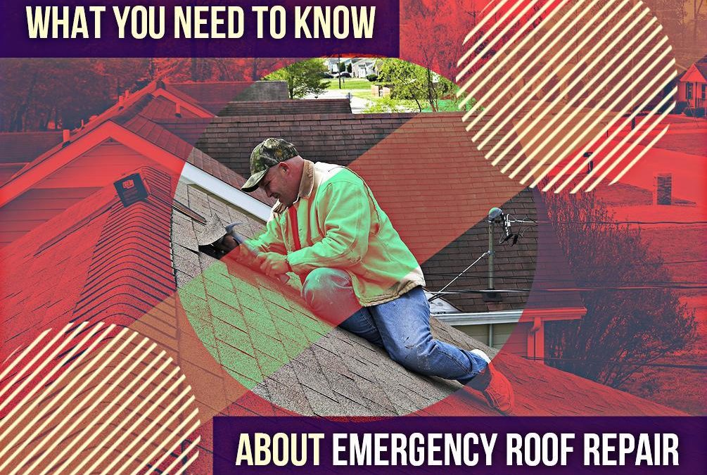 Repairs Roof