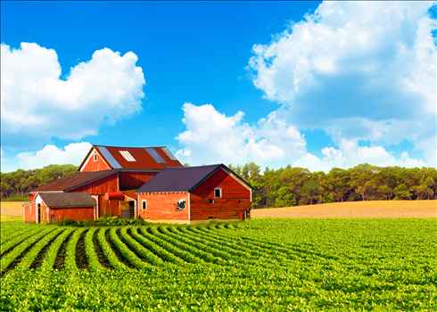 The Best Roofing Options For Farmhouses
